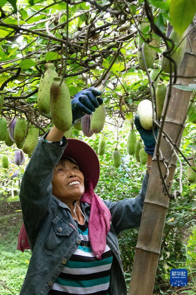 满贯捕鱼安卓
